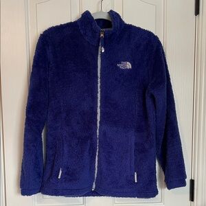 The North Face Royal Blue Fleece Jacket